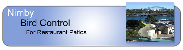 Bird Control_for_Restaurant_Patios_Header