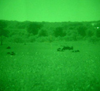 Night-Vision3