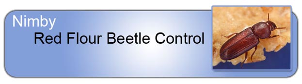 Red Flour_Beetle_Control_Header