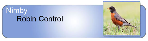 Robin Control_Header