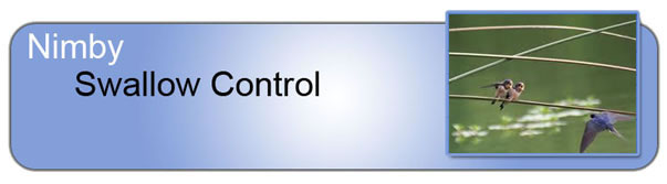 Swallow Control_Header